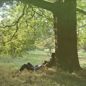 Plastic Ono Band (The Ultimate Collection)