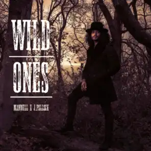 Wild Ones (feat. J.Pollock)