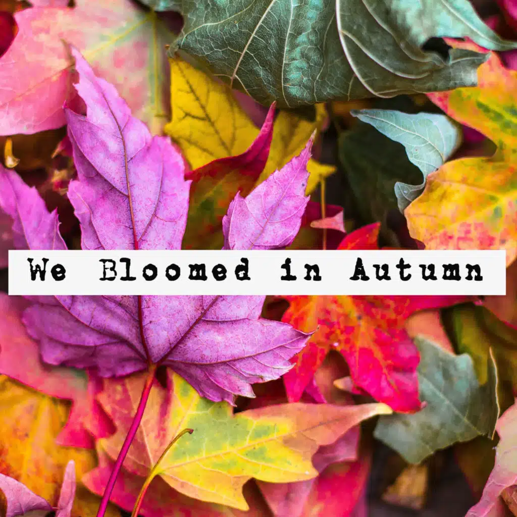 Nylonwings We Bloomed in Autumn Play on Anghami