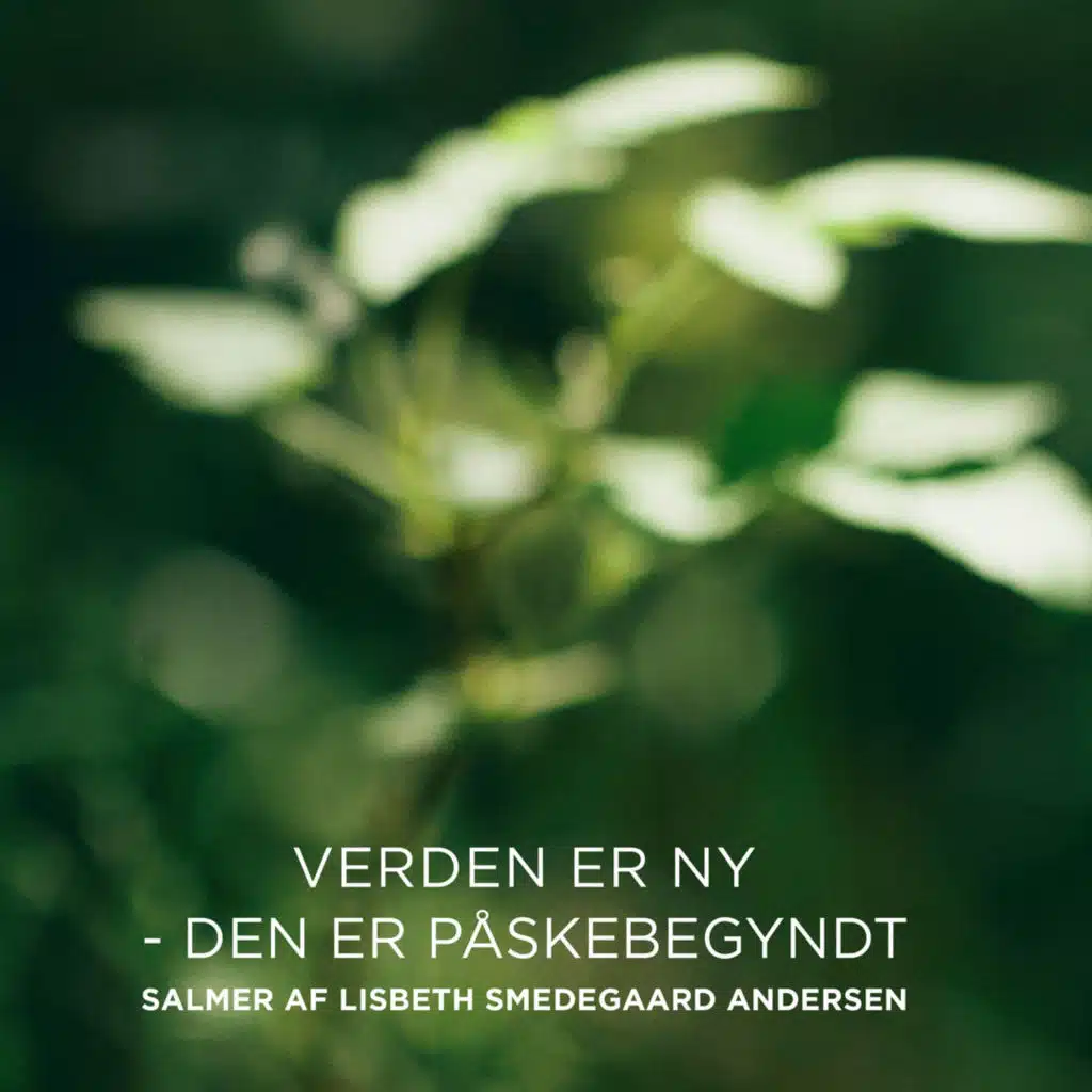 Så stille som regn