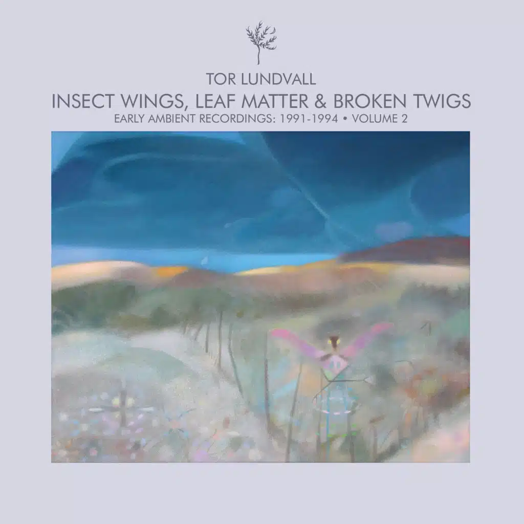 Insect Wings, Leaf Matter & Broken Twigs - Early Ambient Recordings: 1991-1994 Volume 2