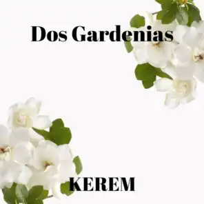 Dos Gardenias (feat. Diego El Cigala)