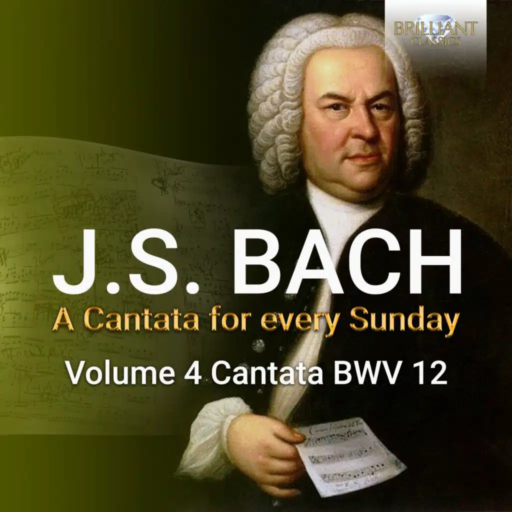 Weinen, klagen, sorgen, zagen, BWV 12: IV. Aria. Kreuz und Krone sind verbunden (Alto)