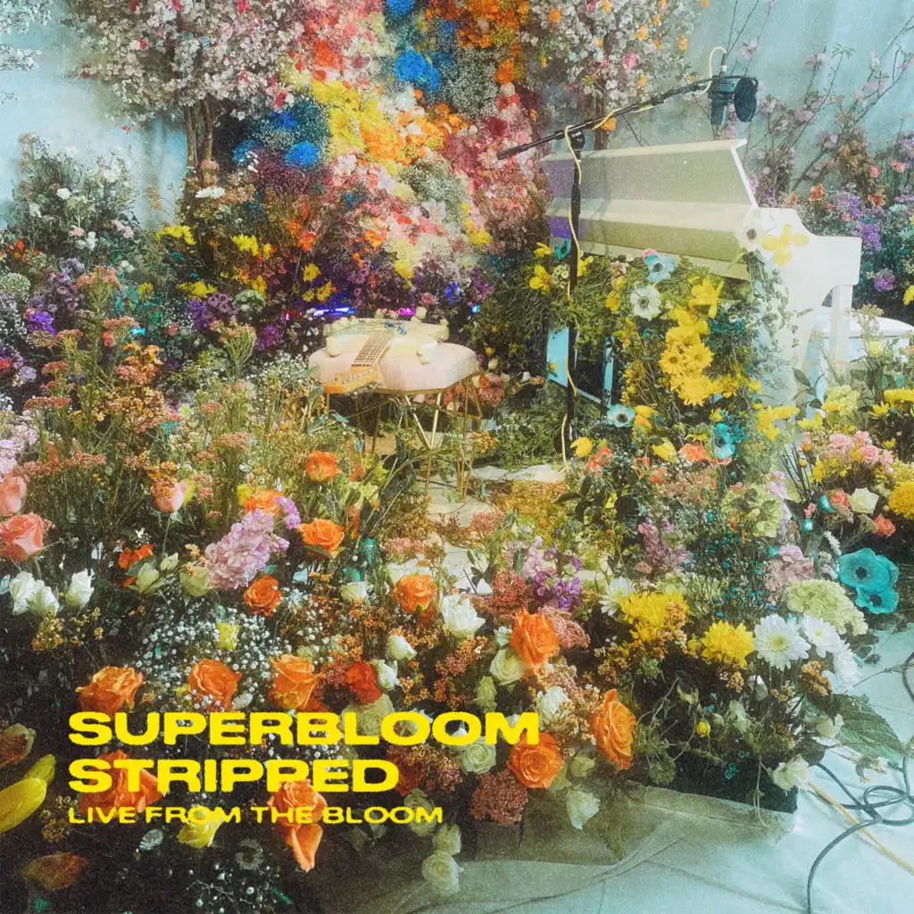 SUPERBLOOM (stripped) [live from the bloom]