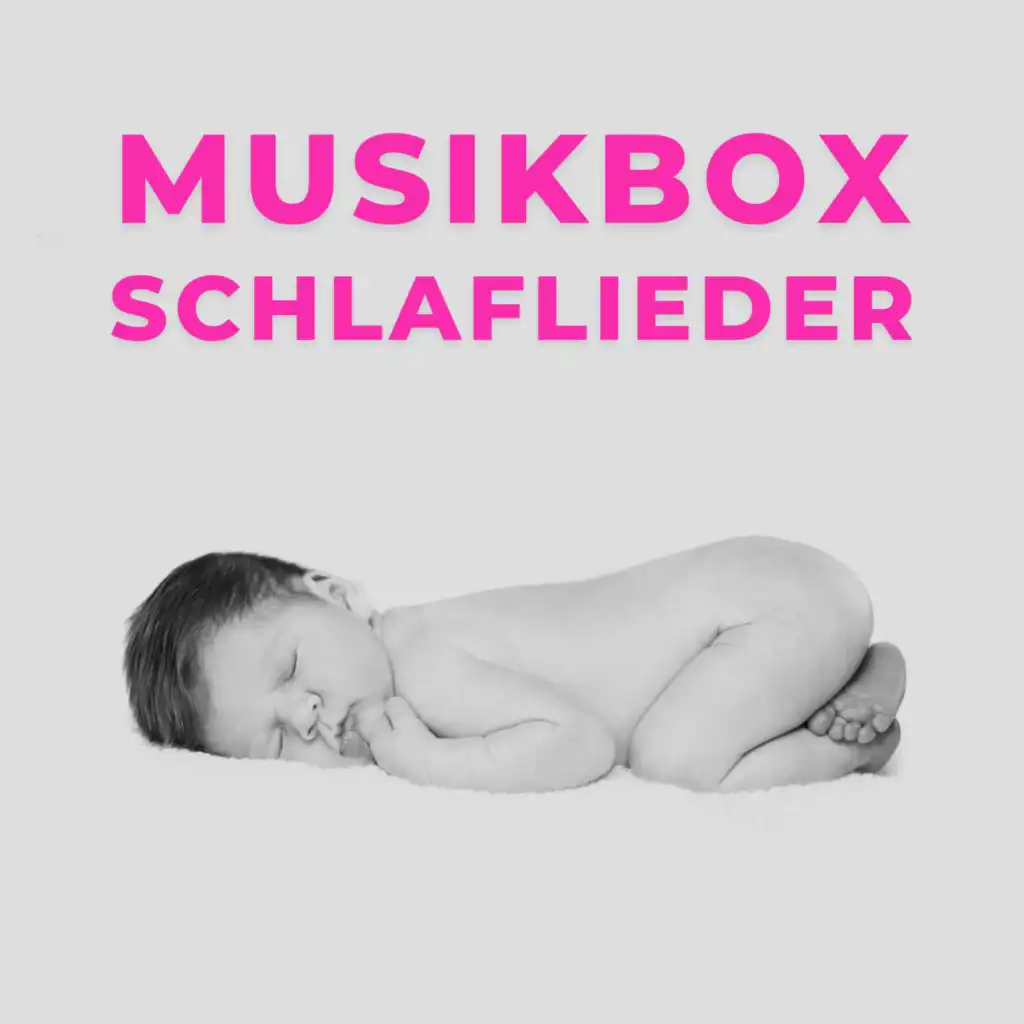 Eine Kleine Spinne (Musikbox)