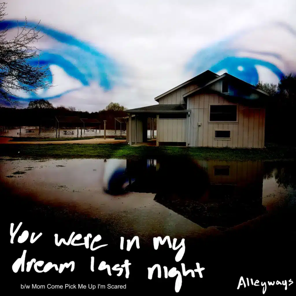 You Were In My Dream Last Night / Mom Come Pick Me Up I'm Scared