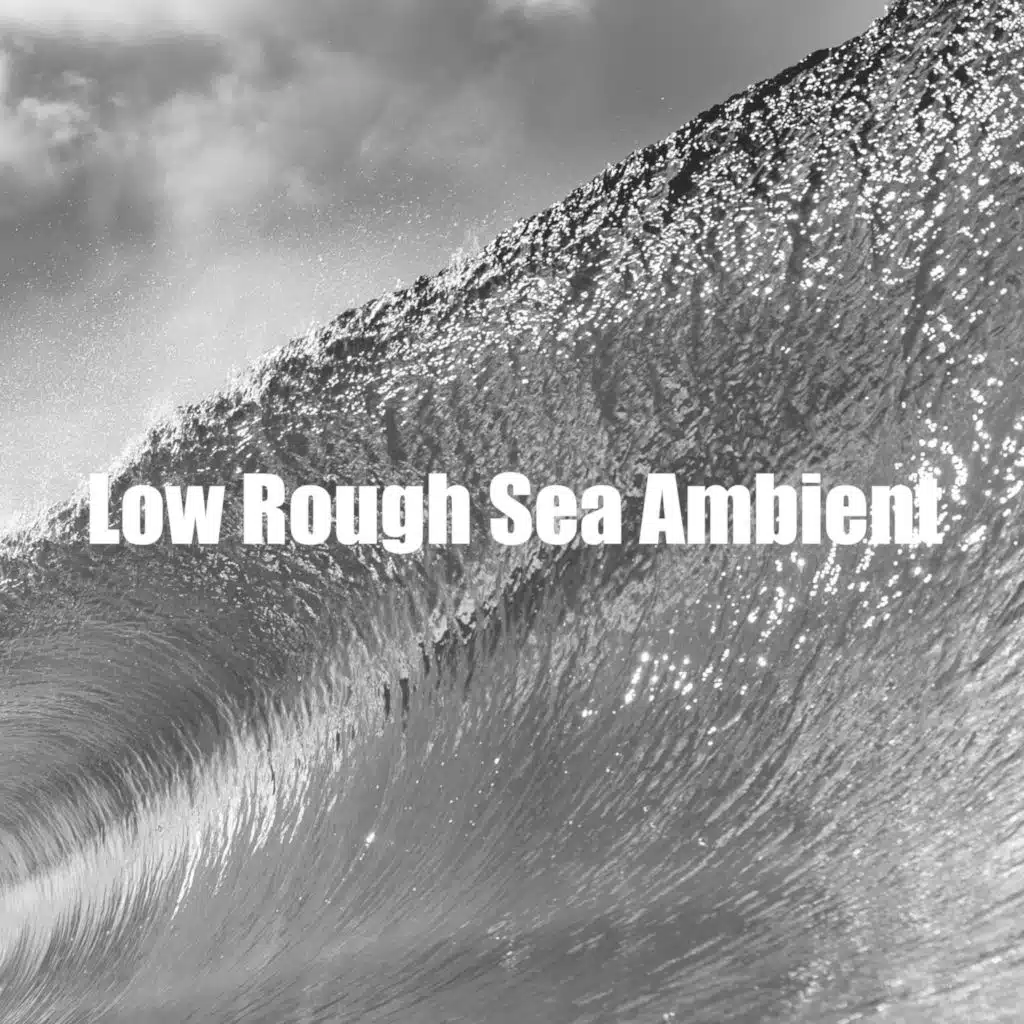 Low Rough Sea Ambient