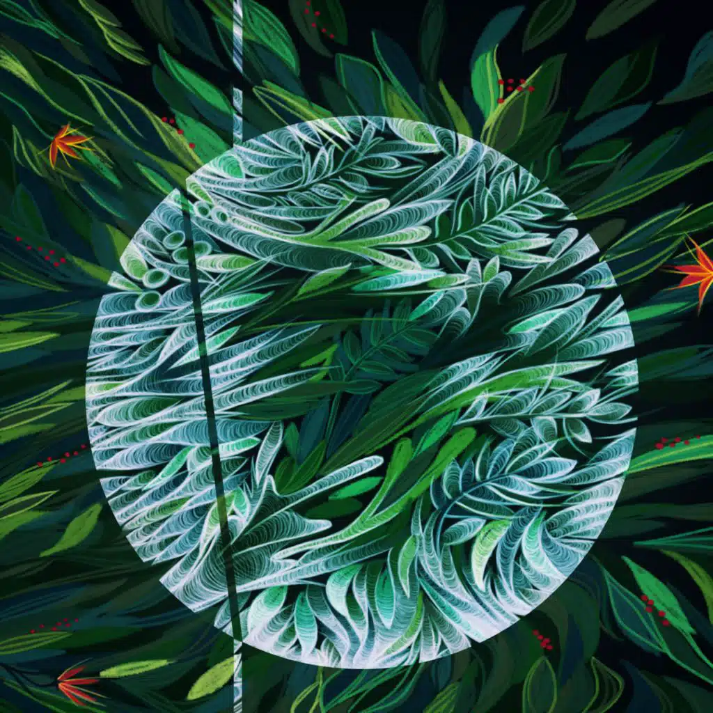 Fantasma de la Selva