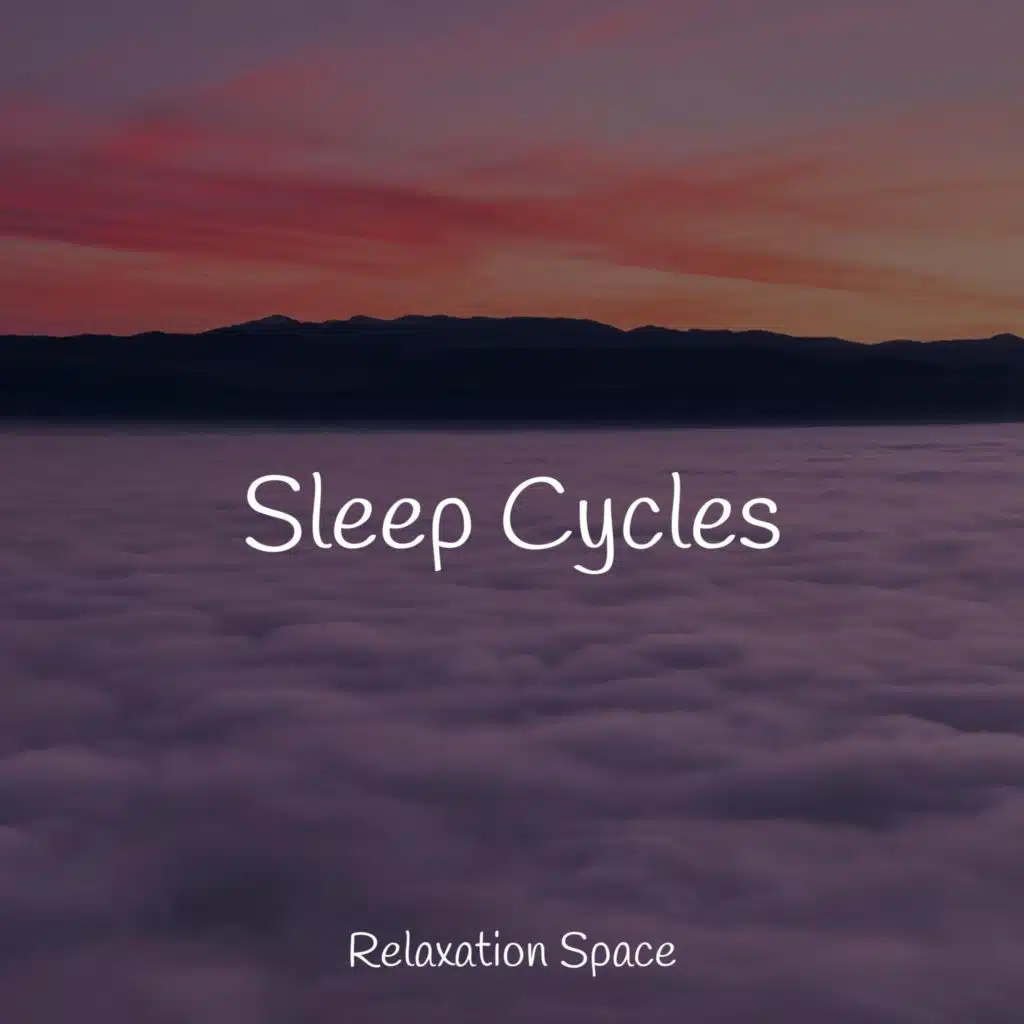 Sleep Cycles