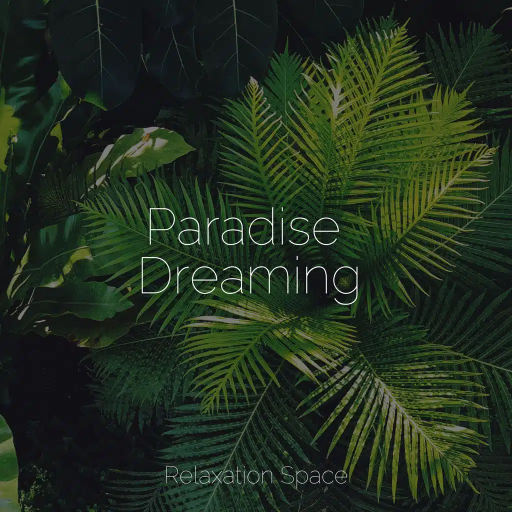 Paradise Dreaming