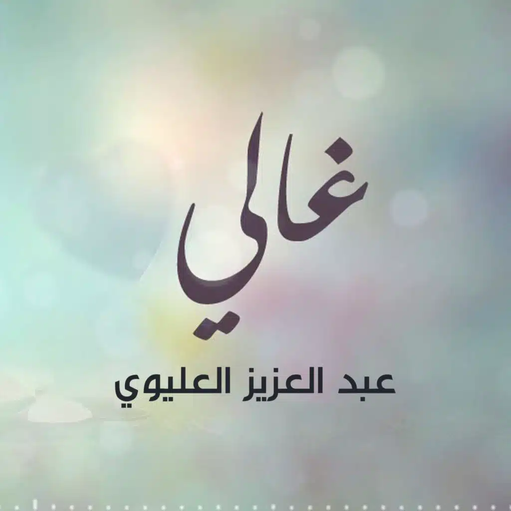 غالي علي غالي