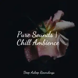 Pure Sounds | Chill Ambience