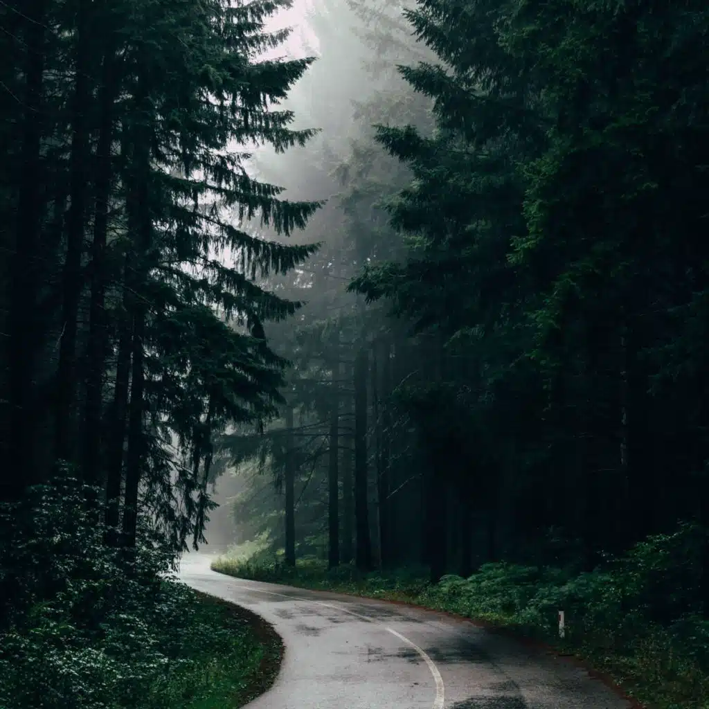 Delightful Rain and Soothing Waves | Deep Calm