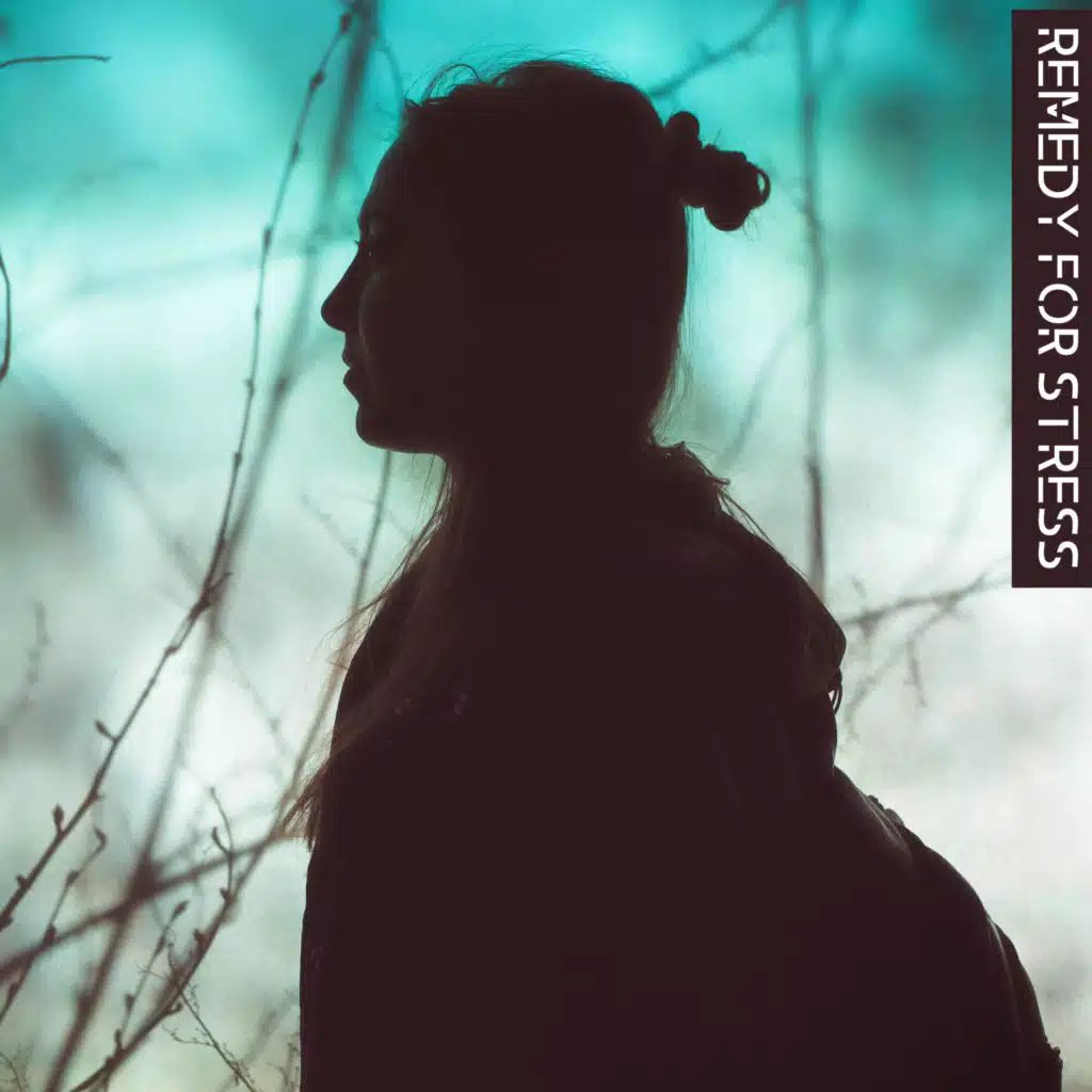 Light Jazz Academy & Alternative Jazz Lounge