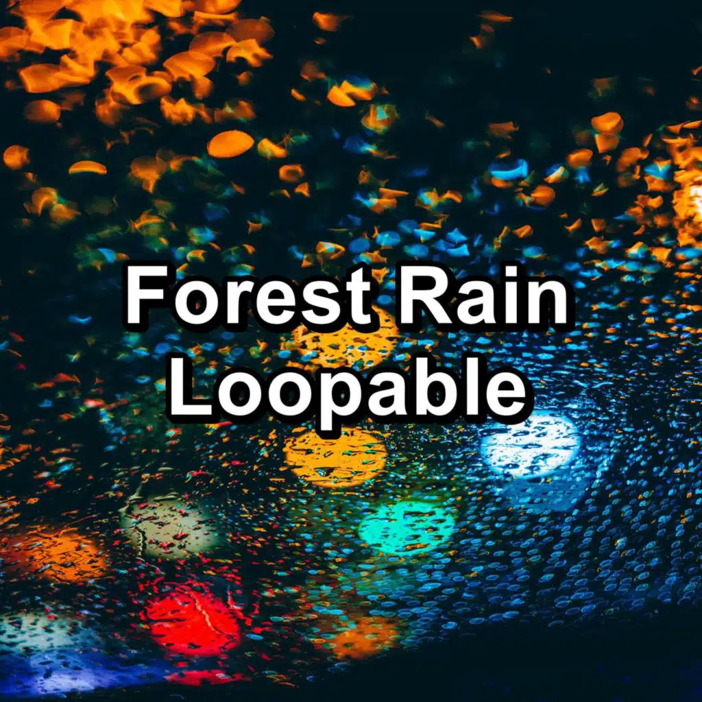 Forest Rain Loopable