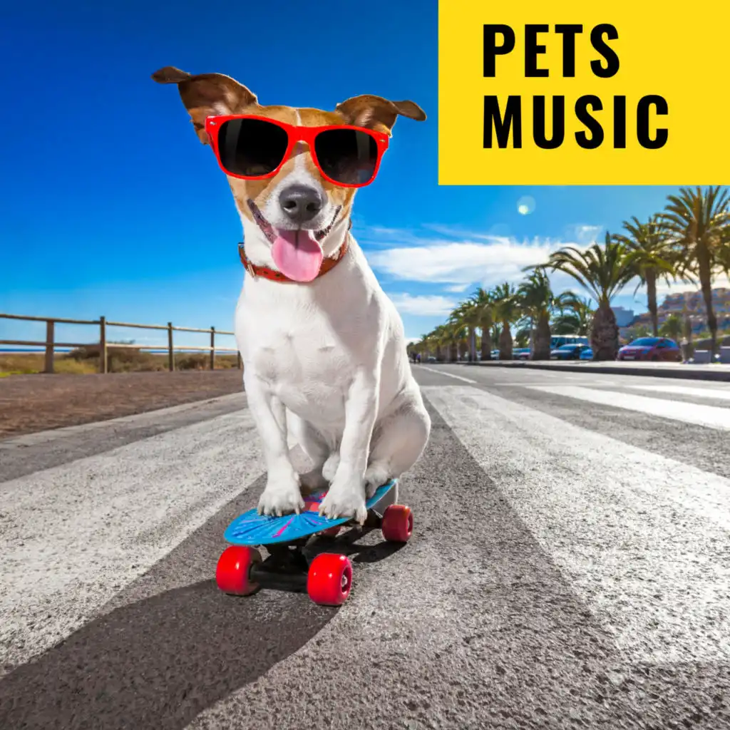 Music For Dogs (Instrumental)