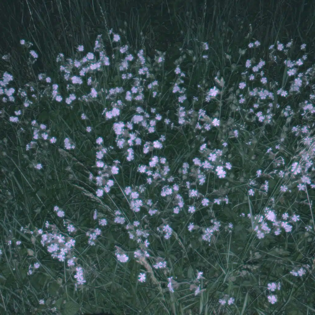 if u can take my pain away