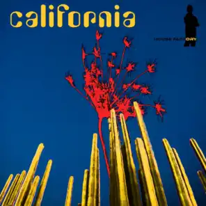 California (Mark Well Mix)