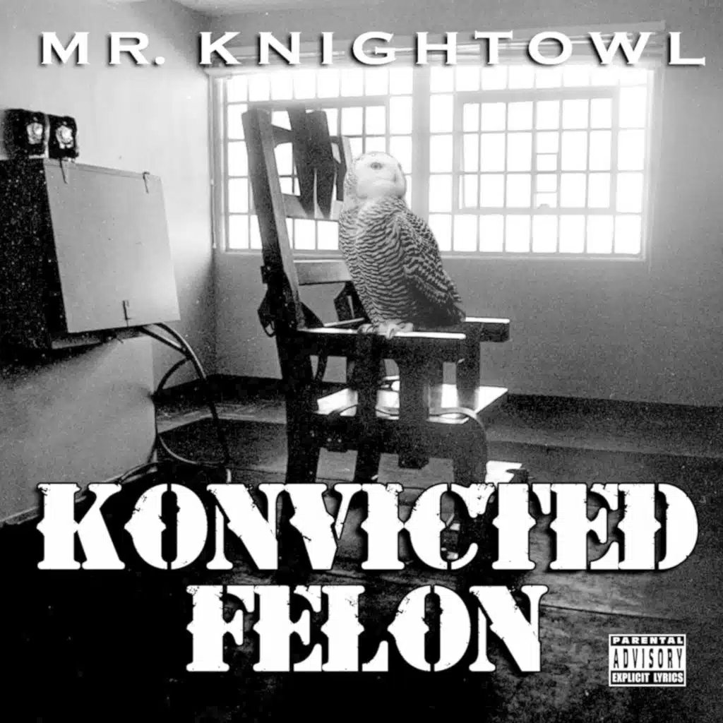 Konvicted Felon