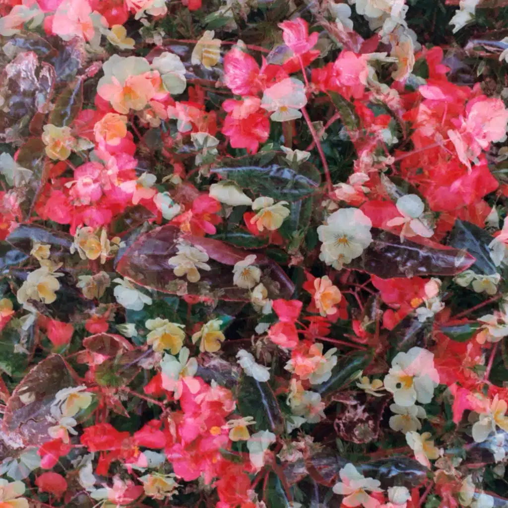 Пожалуйста, только не домой