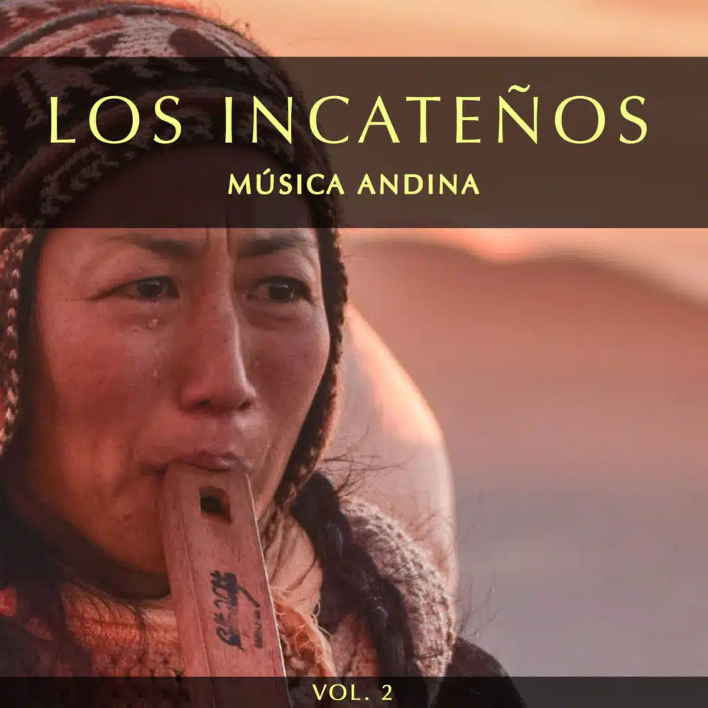 Música Andina, Vol. 2