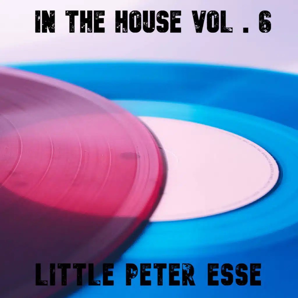 InThe House Vol.6