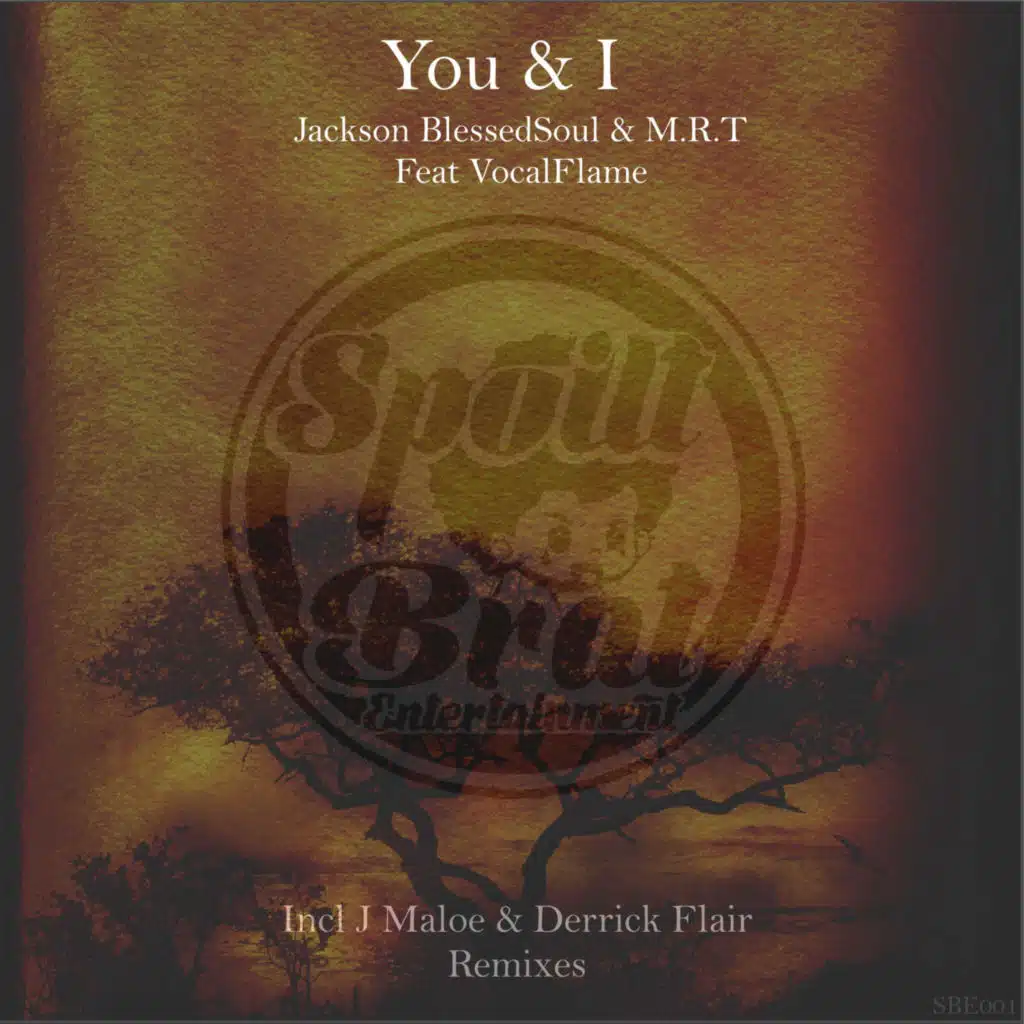 You & I (feat. VocalFlame)