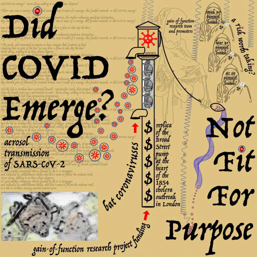 Did COVID Emerge?