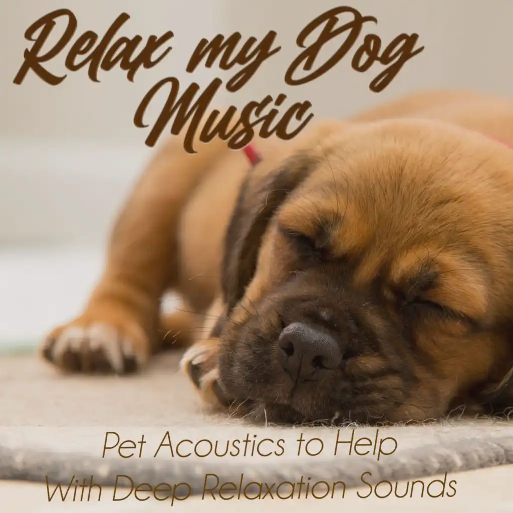 Relax My Dog Music