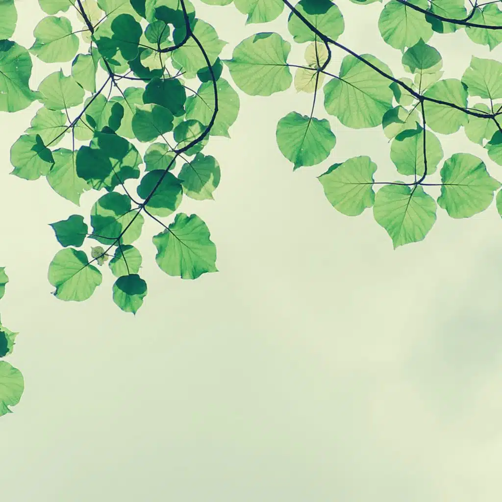 اصوات (طبيعة سجية)