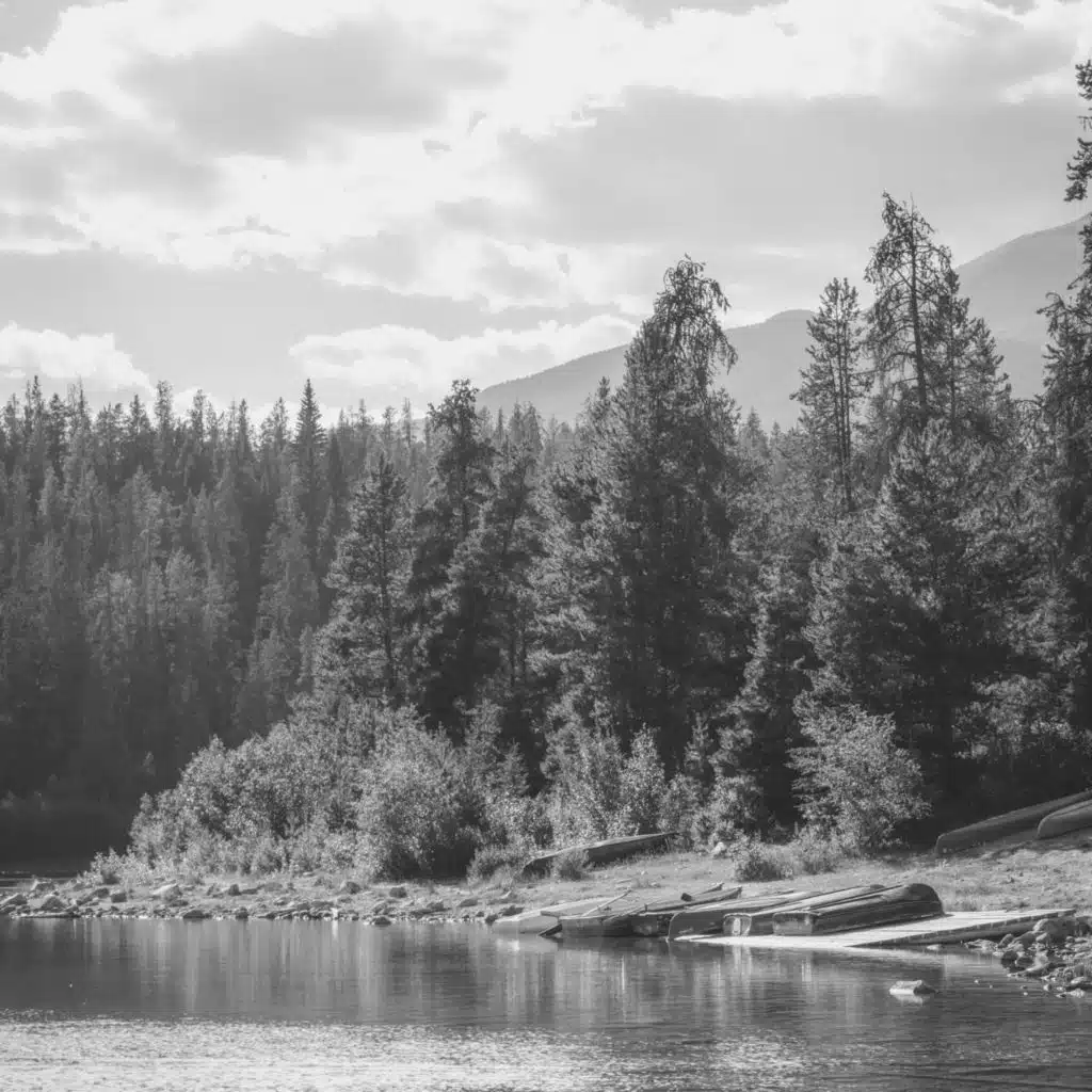 اصوات (نائم)