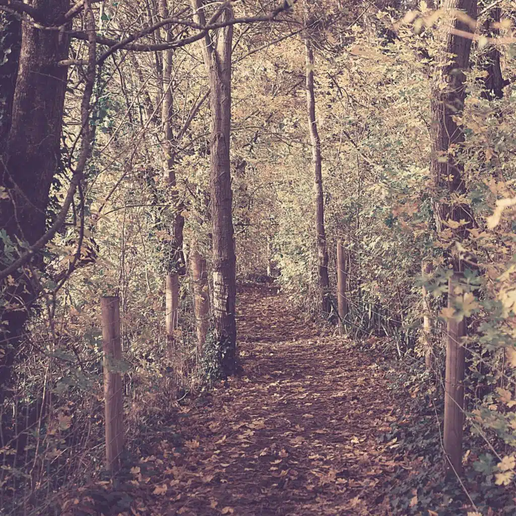 نقي - يستريح