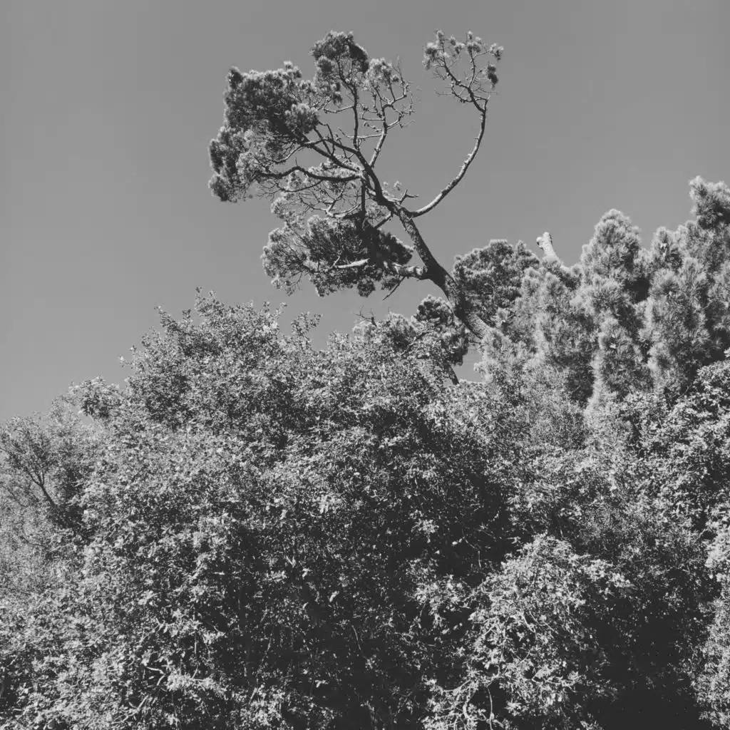 موسيقى النوم رومانسي