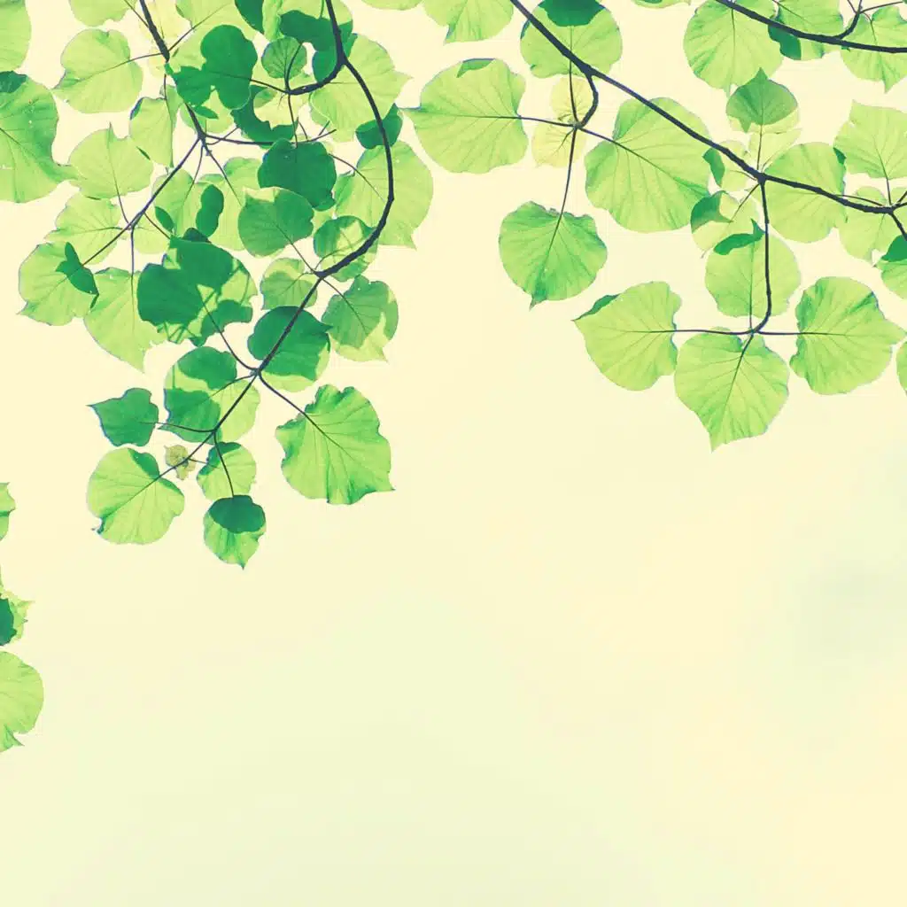 الحلم (اصوات)