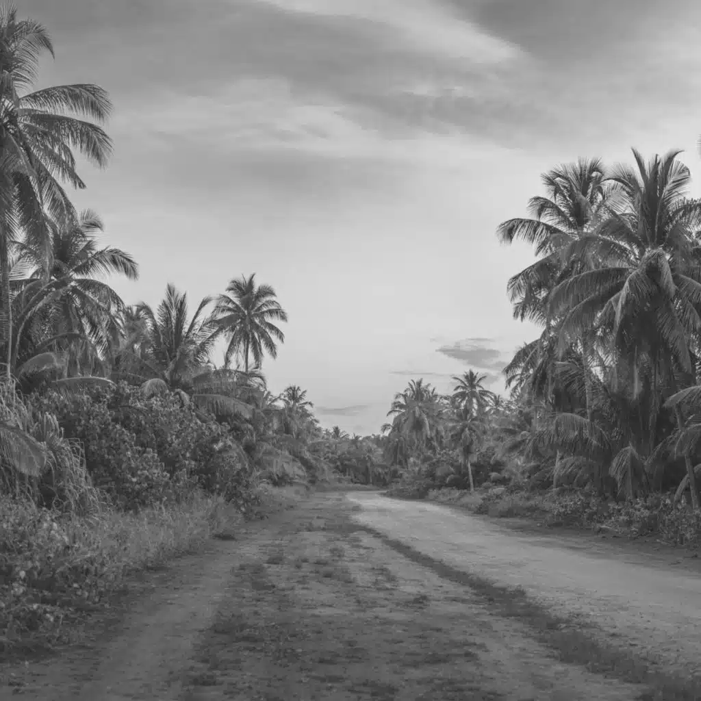 أجواء - يستريح