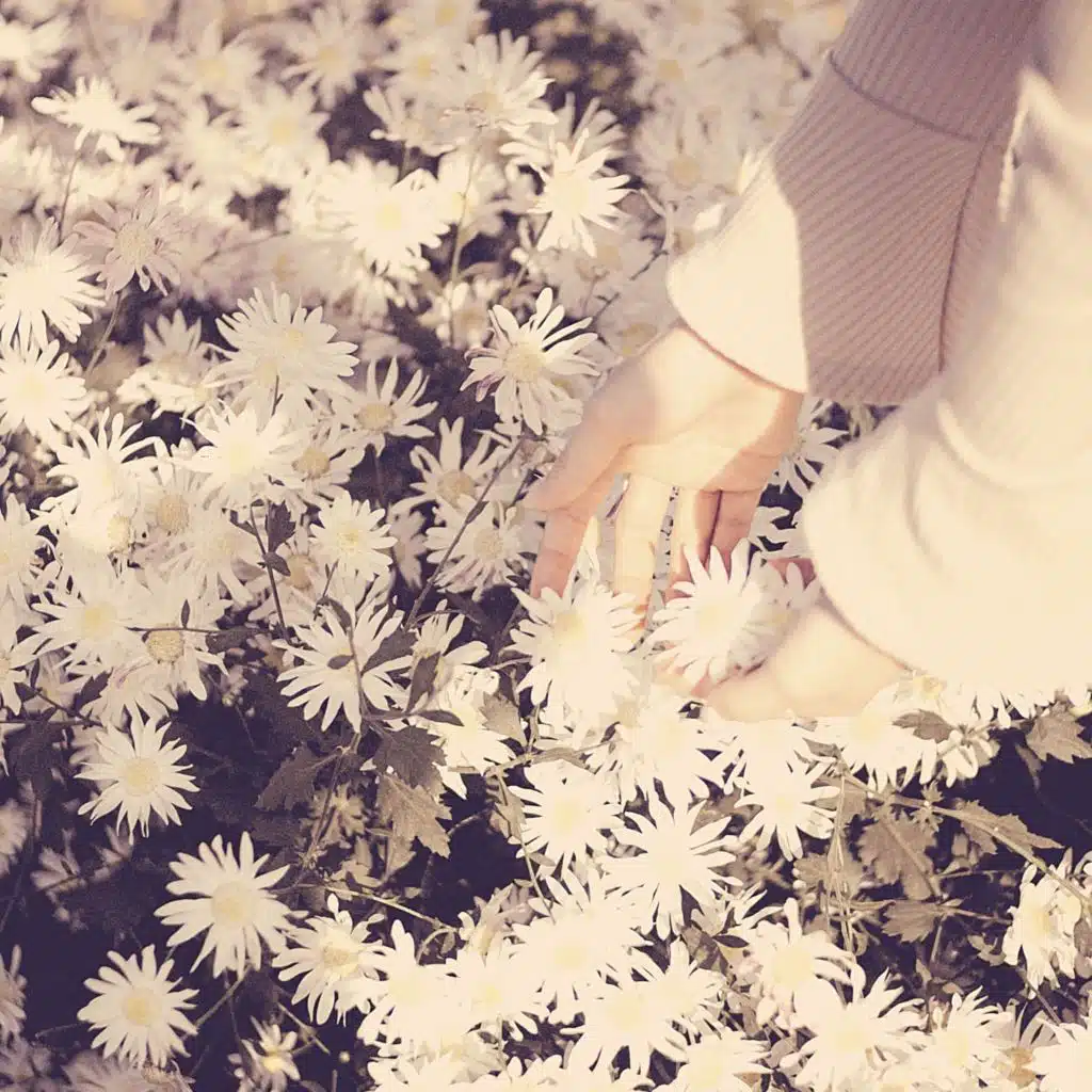 موسيقى النوم قائمة التشغيل