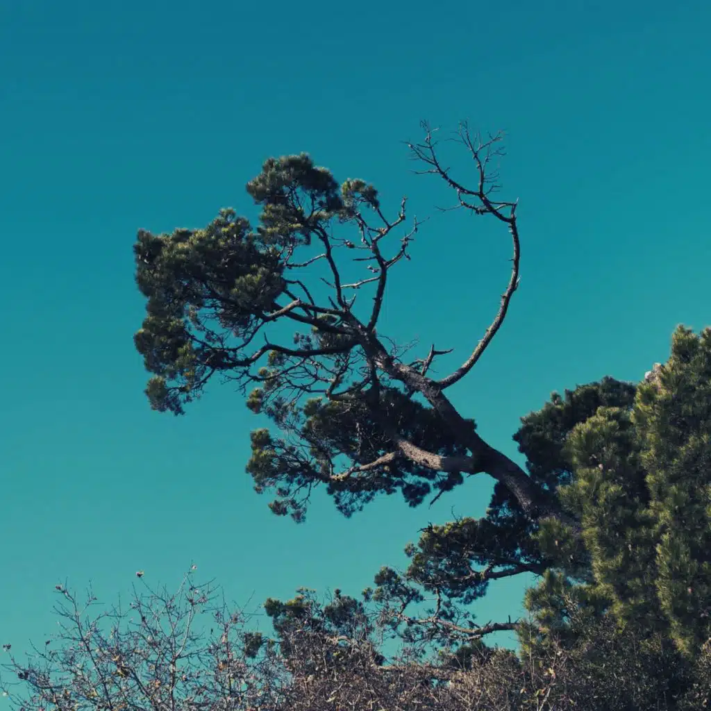 يستريح - خلفيه موسيقية