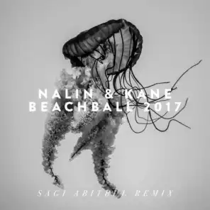 Beachball (Sagi Abitbul Remix)