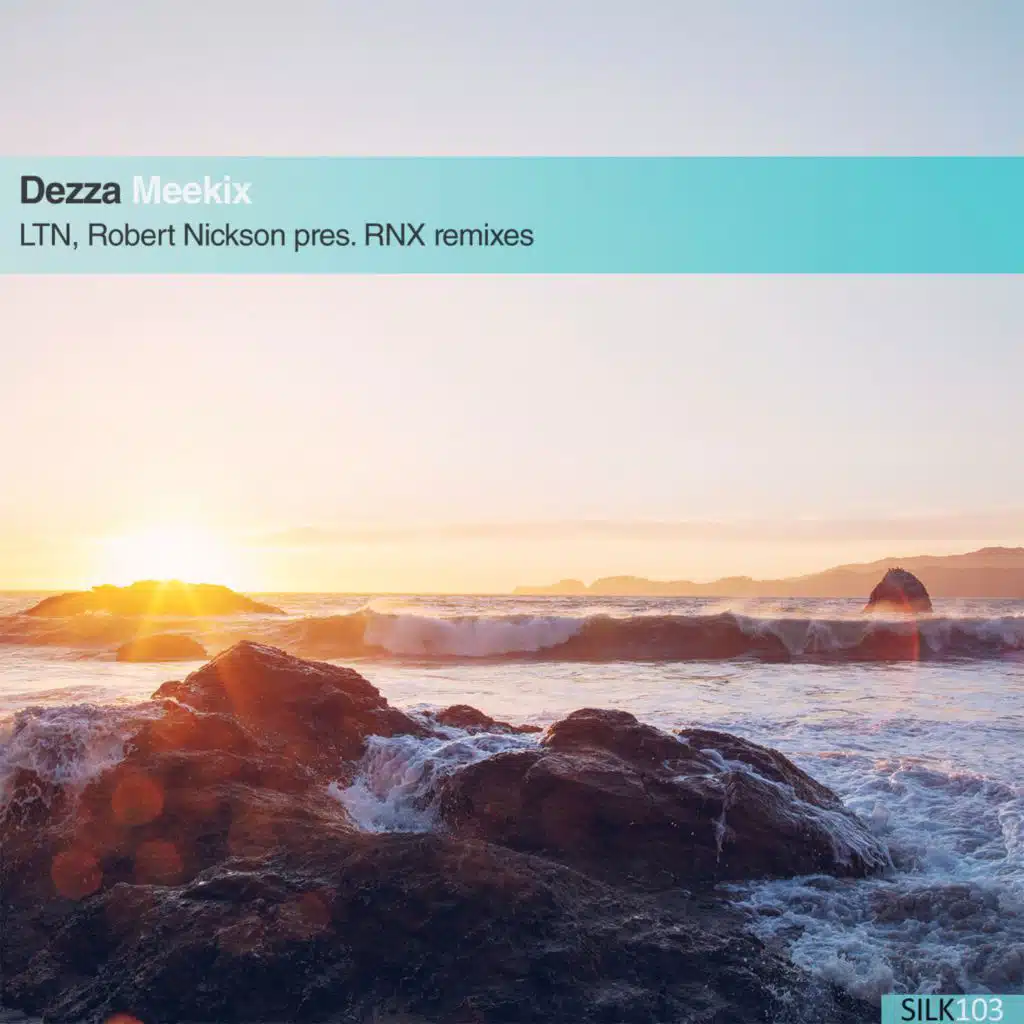 Meekix (Robert Nickson pres. RNX Remix)