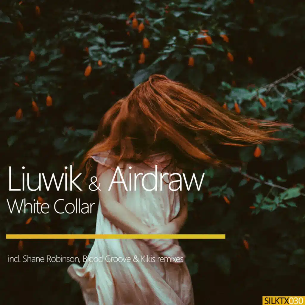 Airdraw, Liuwik