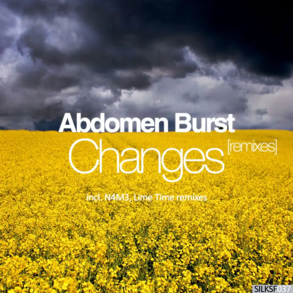 Changes (Ambient Mix) [feat. Malevich & Yavanndiel]