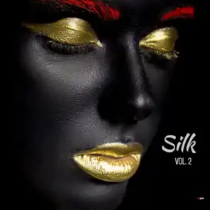 Silk Vol 2