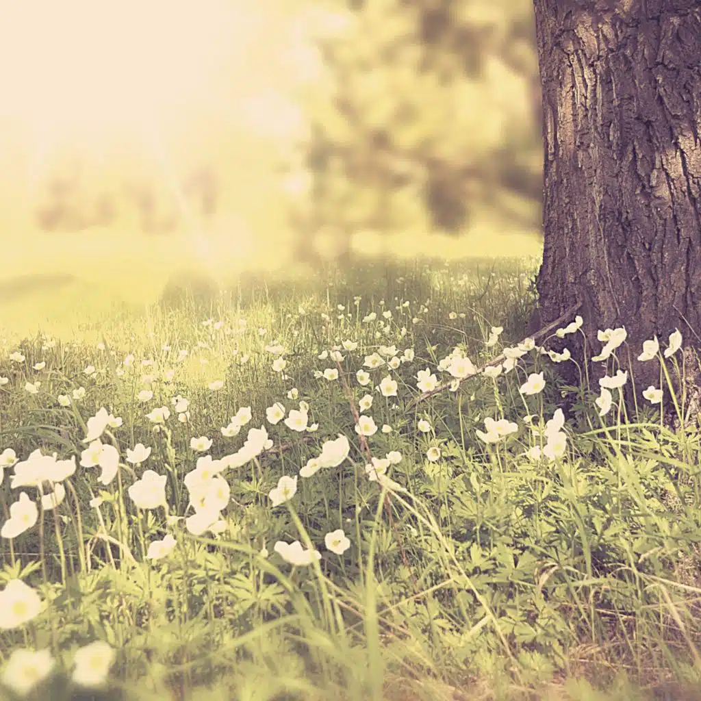 لحظة (يستريح)