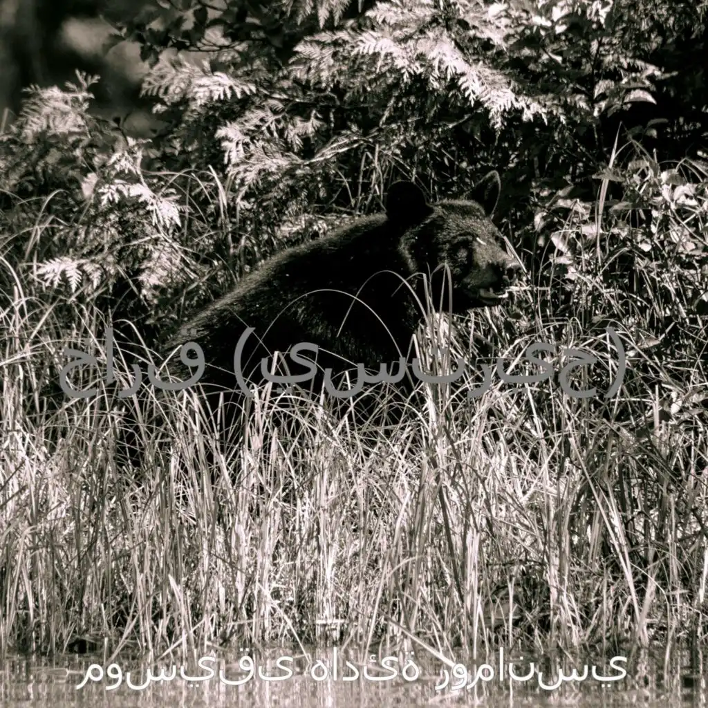 ذكريات (نايم)