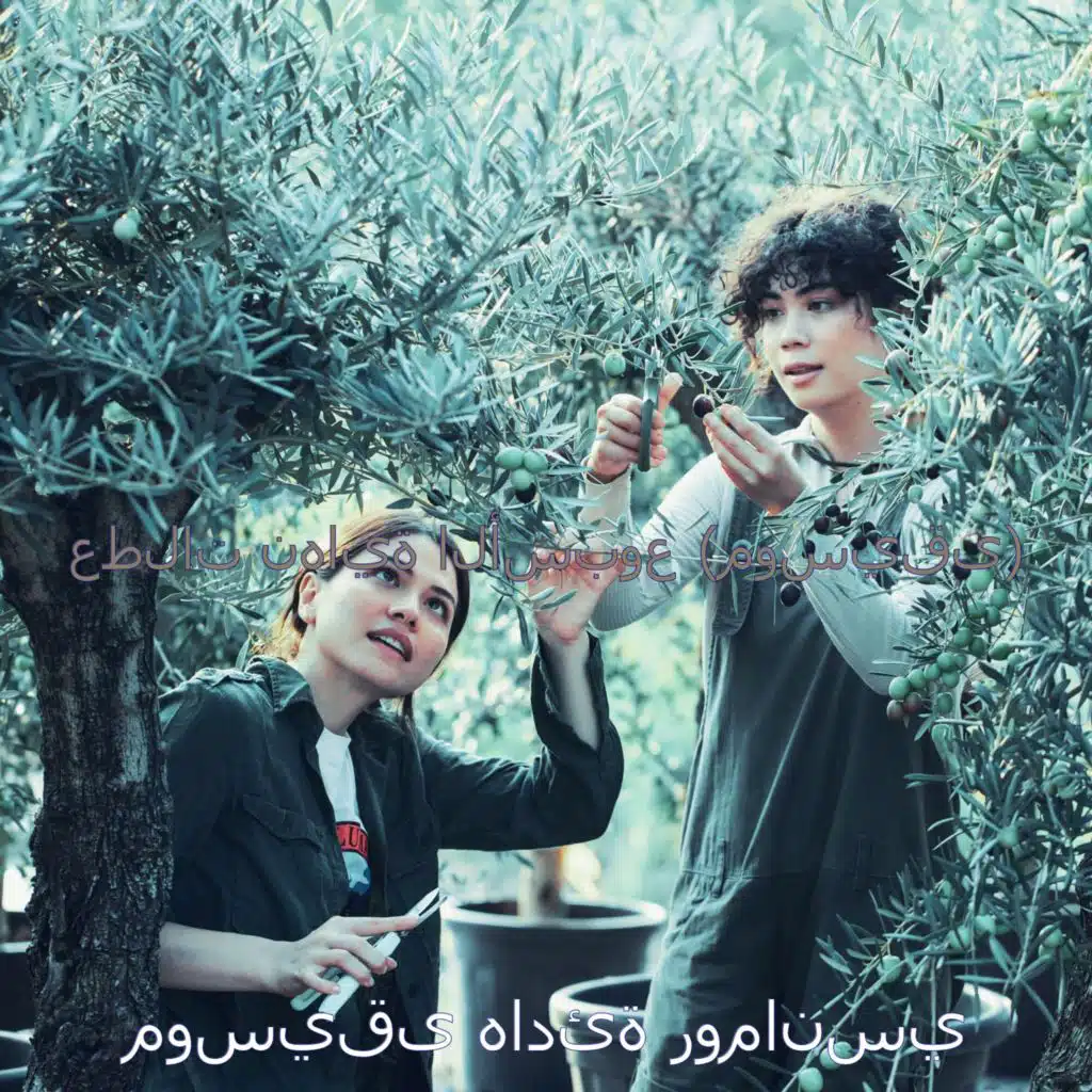 عطلات نهاية الأسبوع (موسيقى)