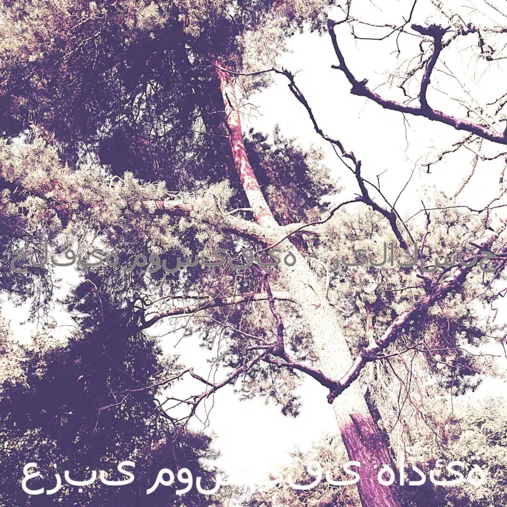 صدى صوت (عطلات نهاية الأسبوع)