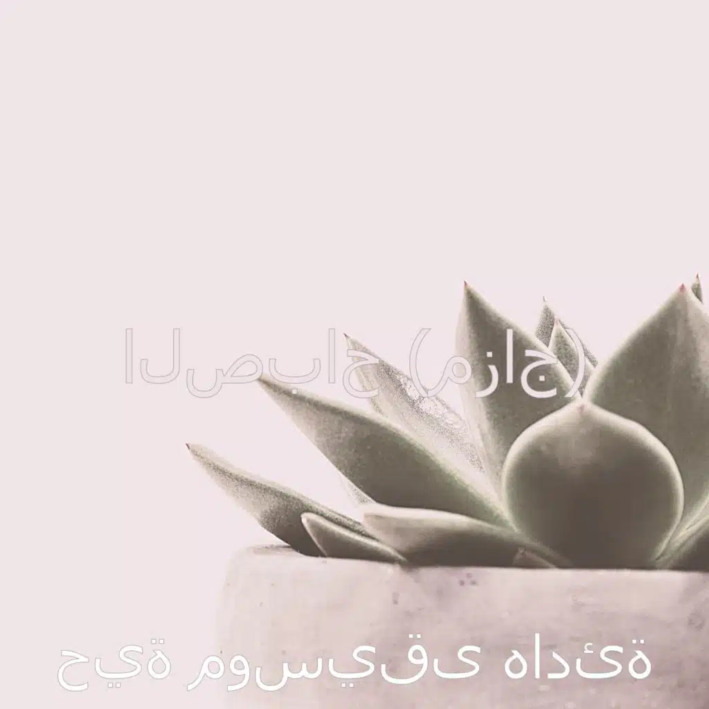 الصباح (مزاج)