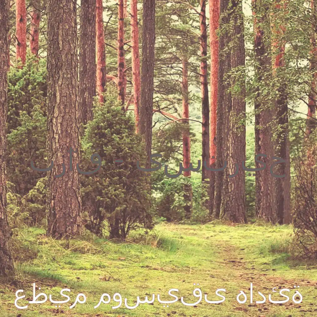 موسيقى (الصباح)