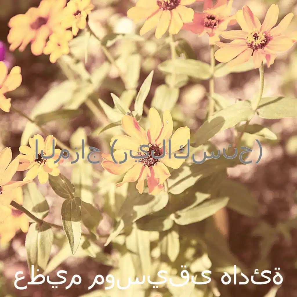 صدى صوت (يستريح)