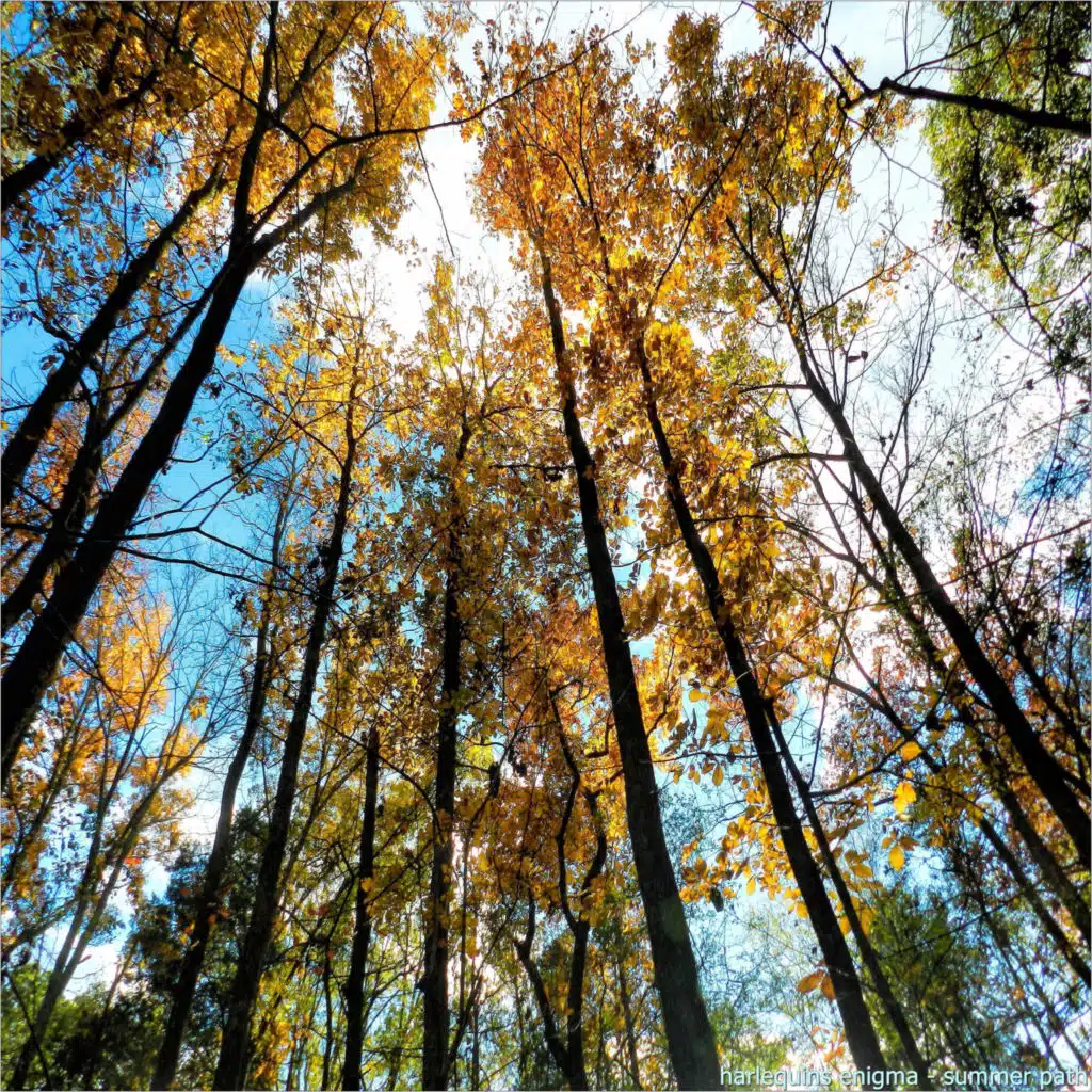 Almost There (feat. Elin Berge)